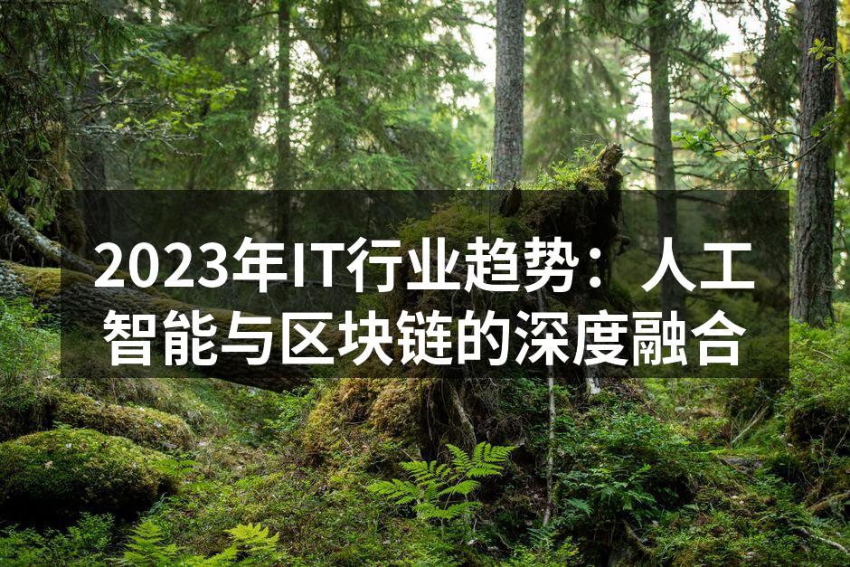 2023年IT行业趋势：人工智能与区块链的深度融合