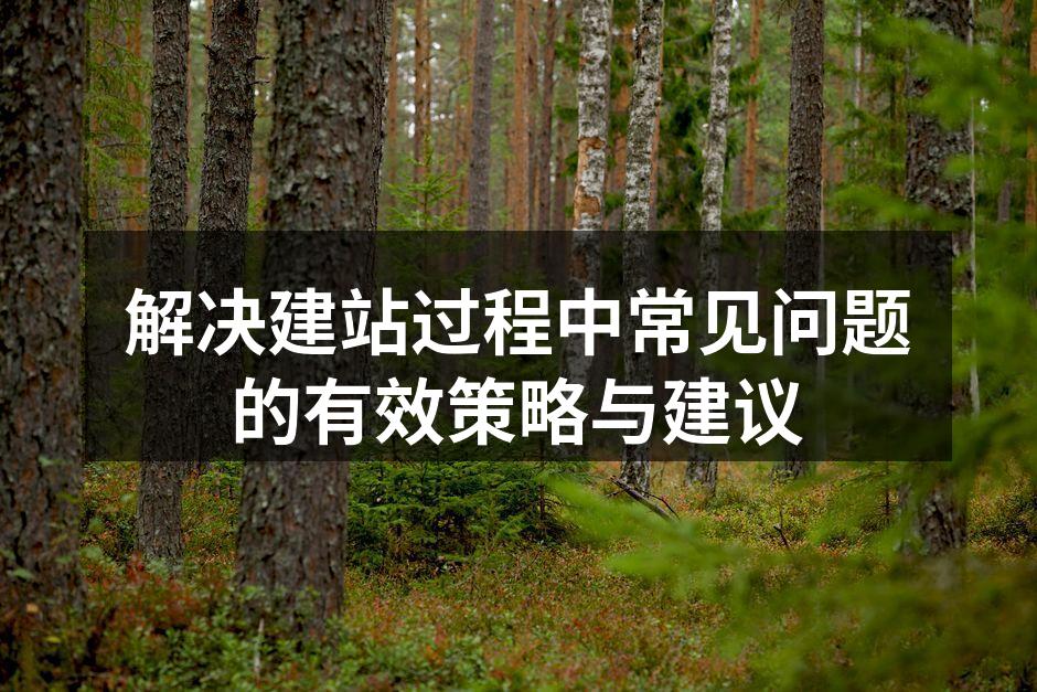 解决建站过程中常见问题的有效策略与建议